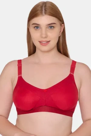 WOMEN PADDED BRA (Copy)